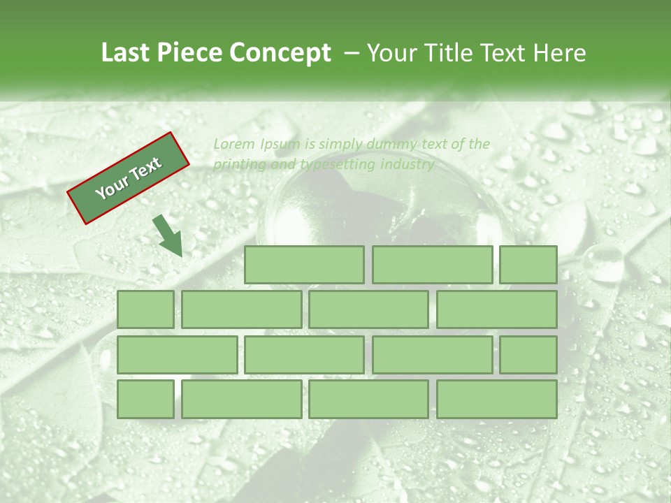 A Drop Of Water On A Leaf PowerPoint Template