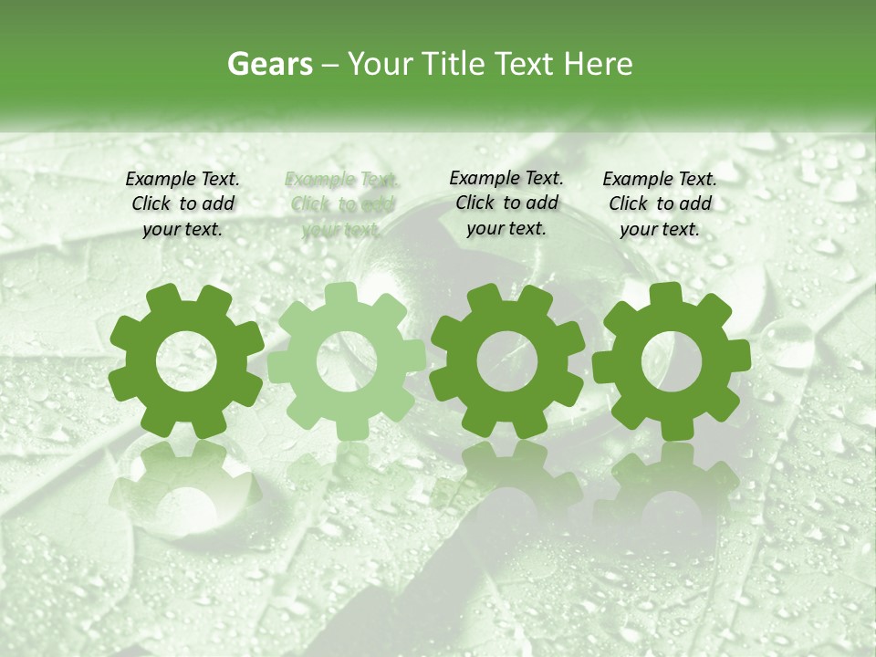 A Drop Of Water On A Leaf PowerPoint Template