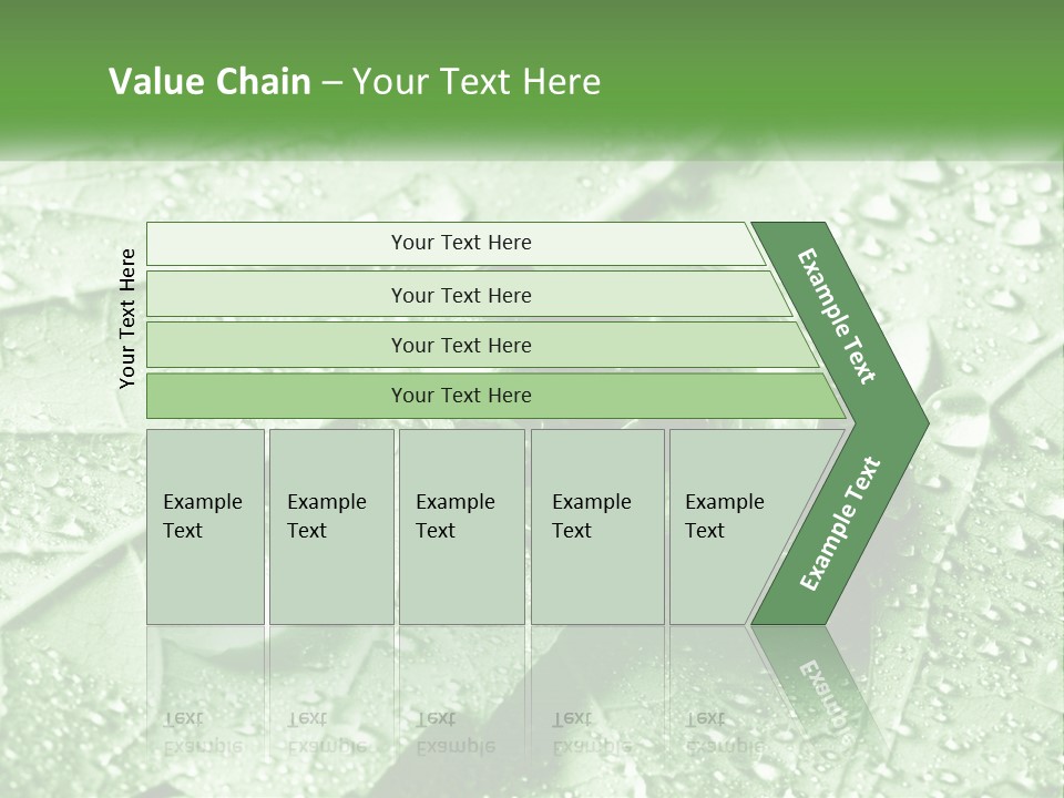 A Drop Of Water On A Leaf PowerPoint Template