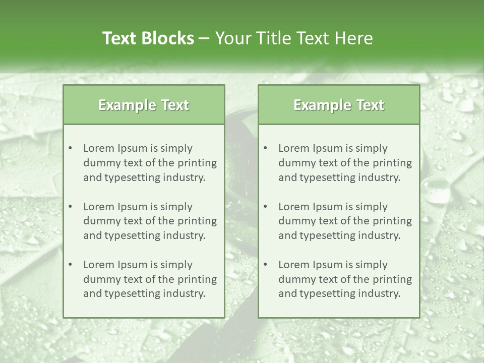 A Drop Of Water On A Leaf PowerPoint Template