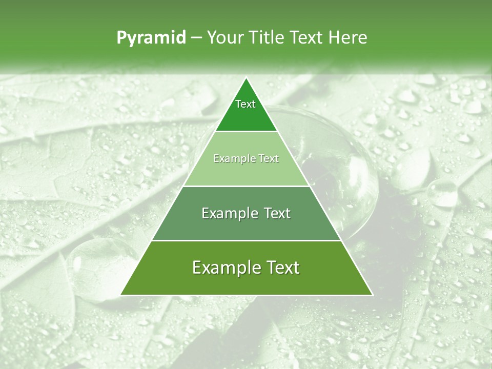 A Drop Of Water On A Leaf PowerPoint Template