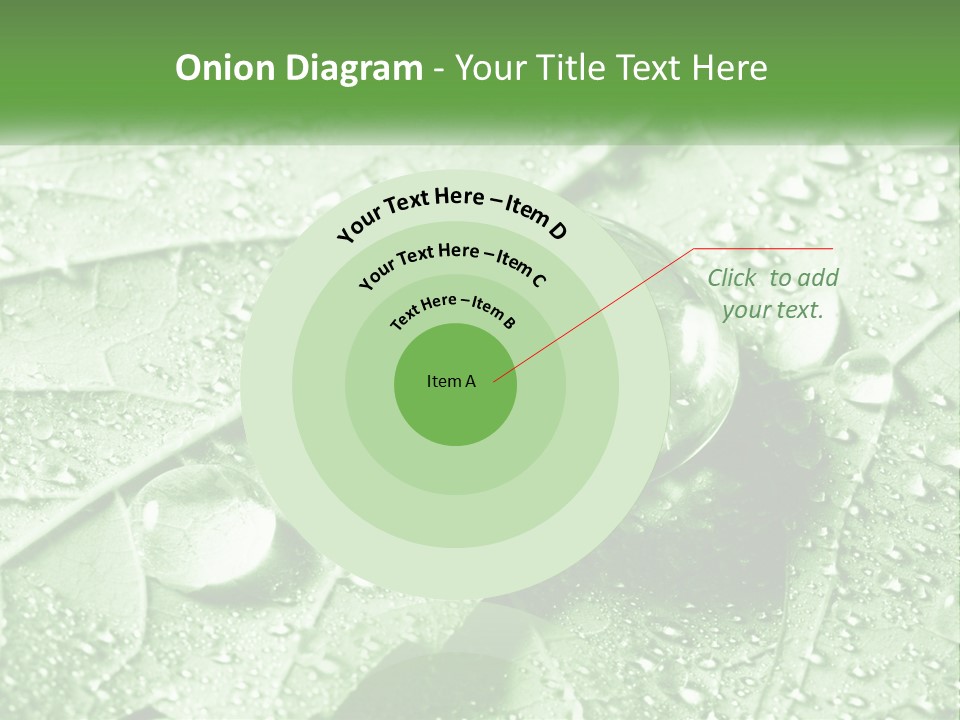 A Drop Of Water On A Leaf PowerPoint Template
