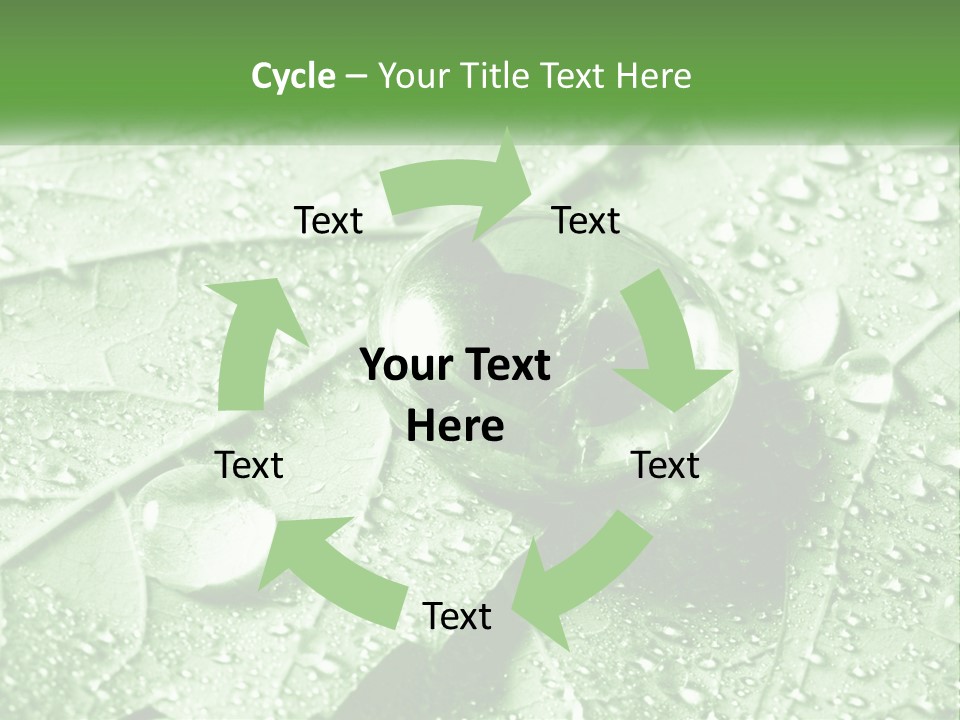 A Drop Of Water On A Leaf PowerPoint Template