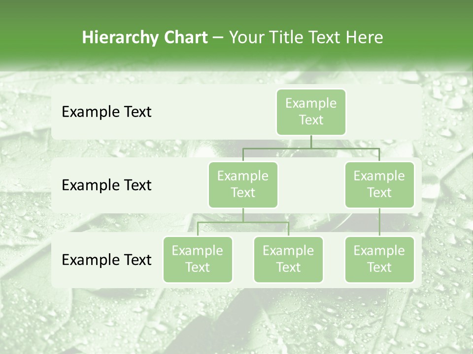 A Drop Of Water On A Leaf PowerPoint Template