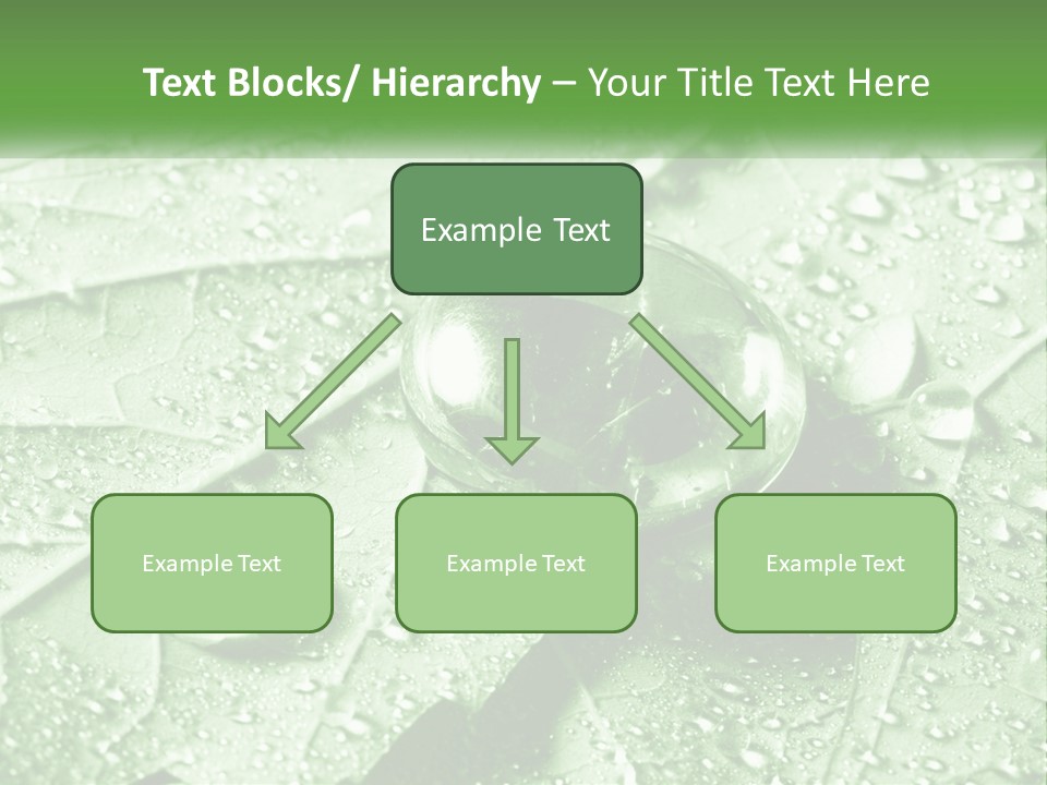 A Drop Of Water On A Leaf PowerPoint Template