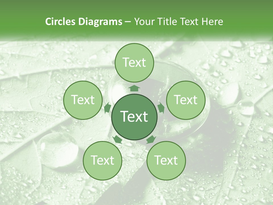 A Drop Of Water On A Leaf PowerPoint Template