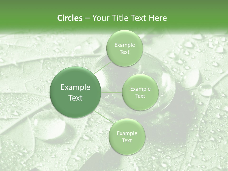 A Drop Of Water On A Leaf PowerPoint Template