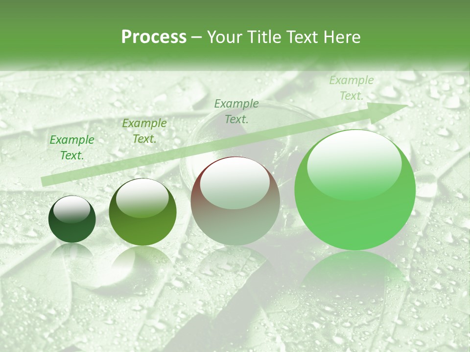 A Drop Of Water On A Leaf PowerPoint Template