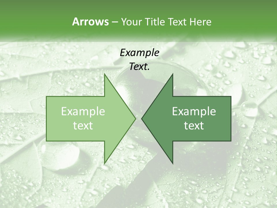 A Drop Of Water On A Leaf PowerPoint Template