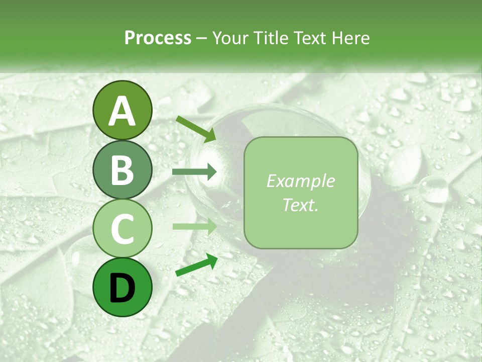 A Drop Of Water On A Leaf PowerPoint Template