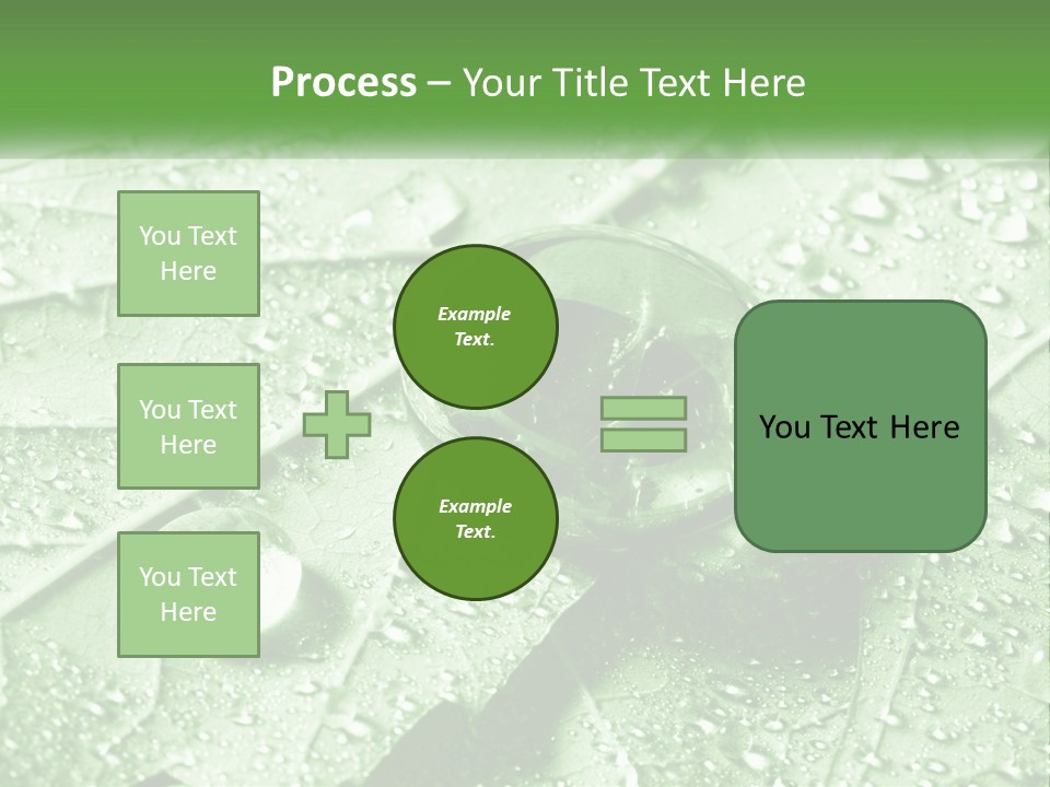 A Drop Of Water On A Leaf PowerPoint Template