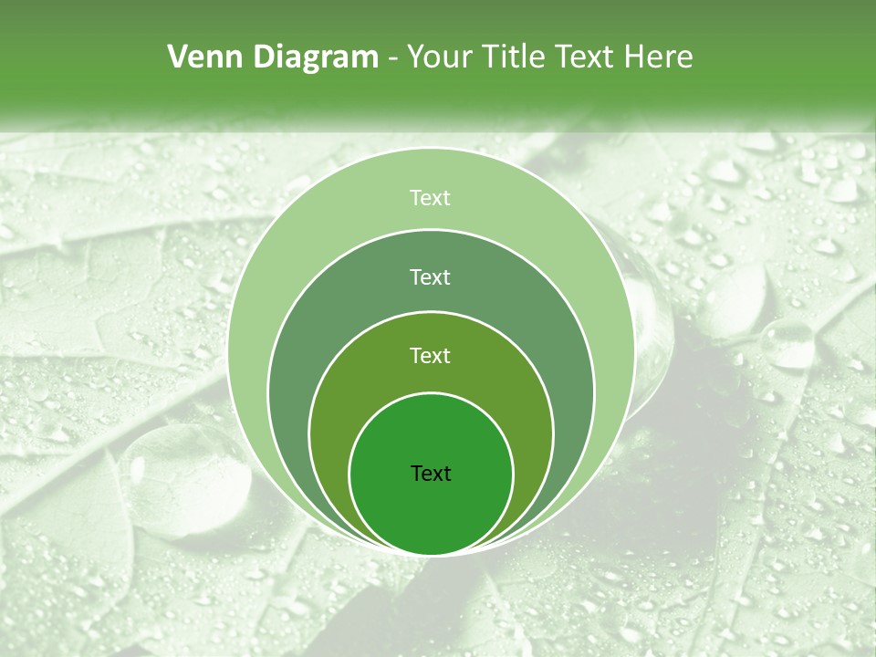 A Drop Of Water On A Leaf PowerPoint Template