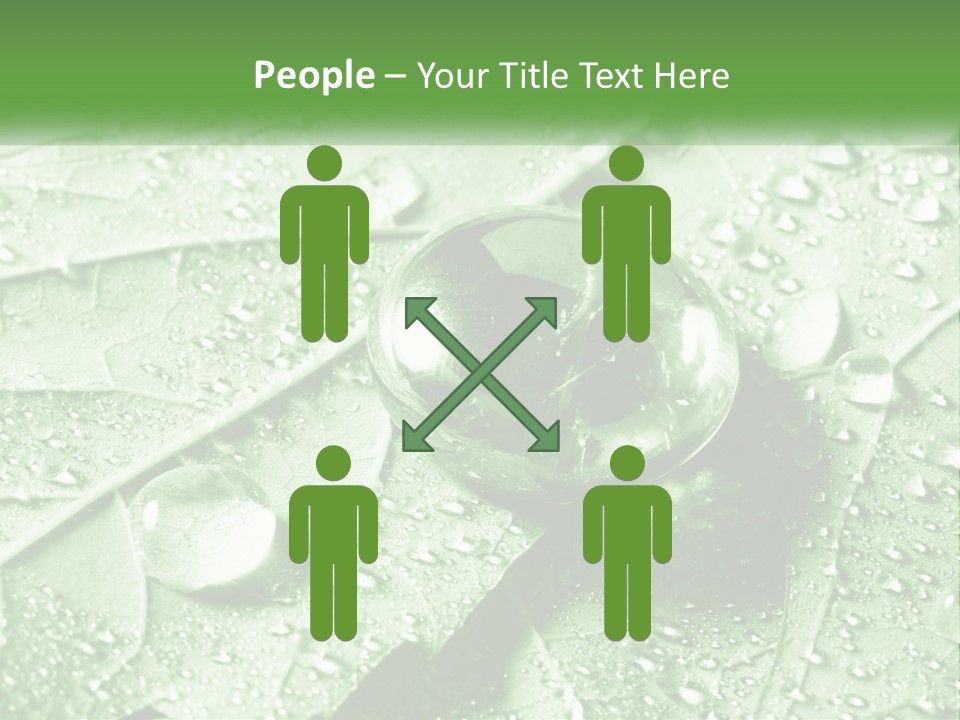 A Drop Of Water On A Leaf PowerPoint Template