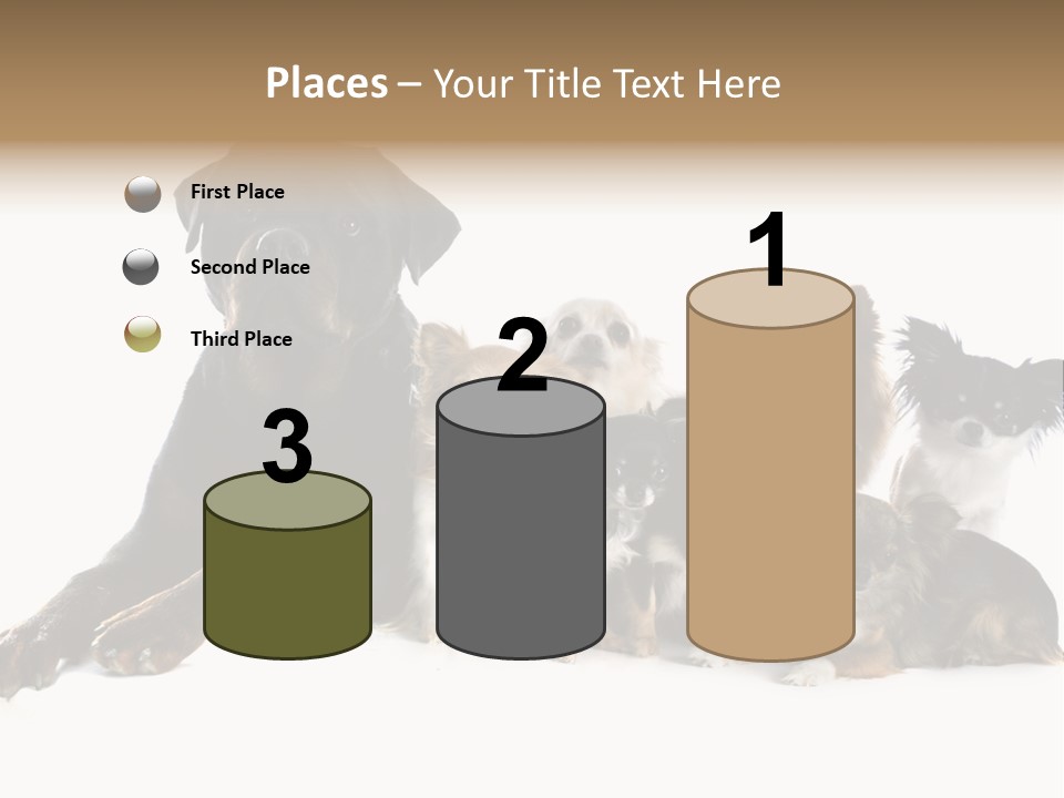 Family Photo Of Dogs PowerPoint Template