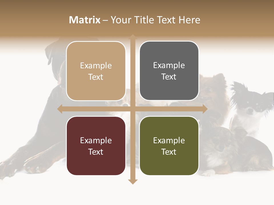 Family Photo Of Dogs PowerPoint Template