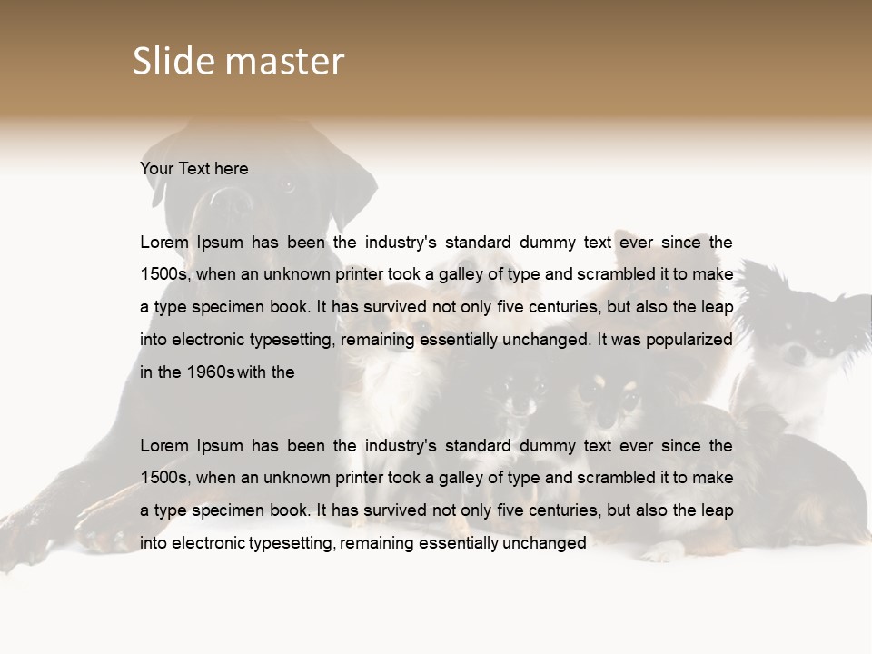 Family Photo Of Dogs PowerPoint Template