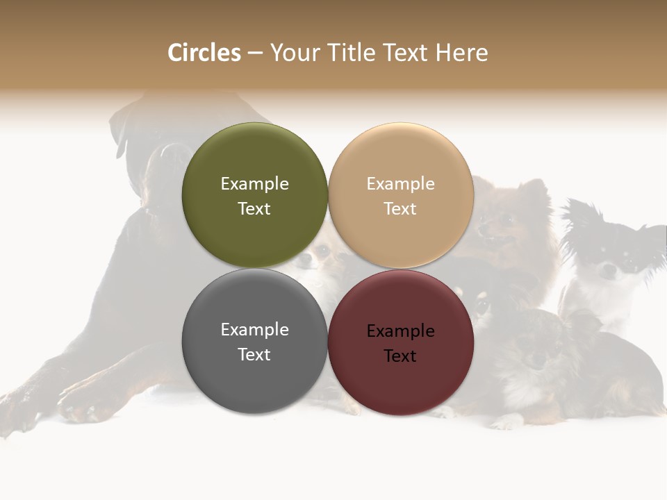 Family Photo Of Dogs PowerPoint Template