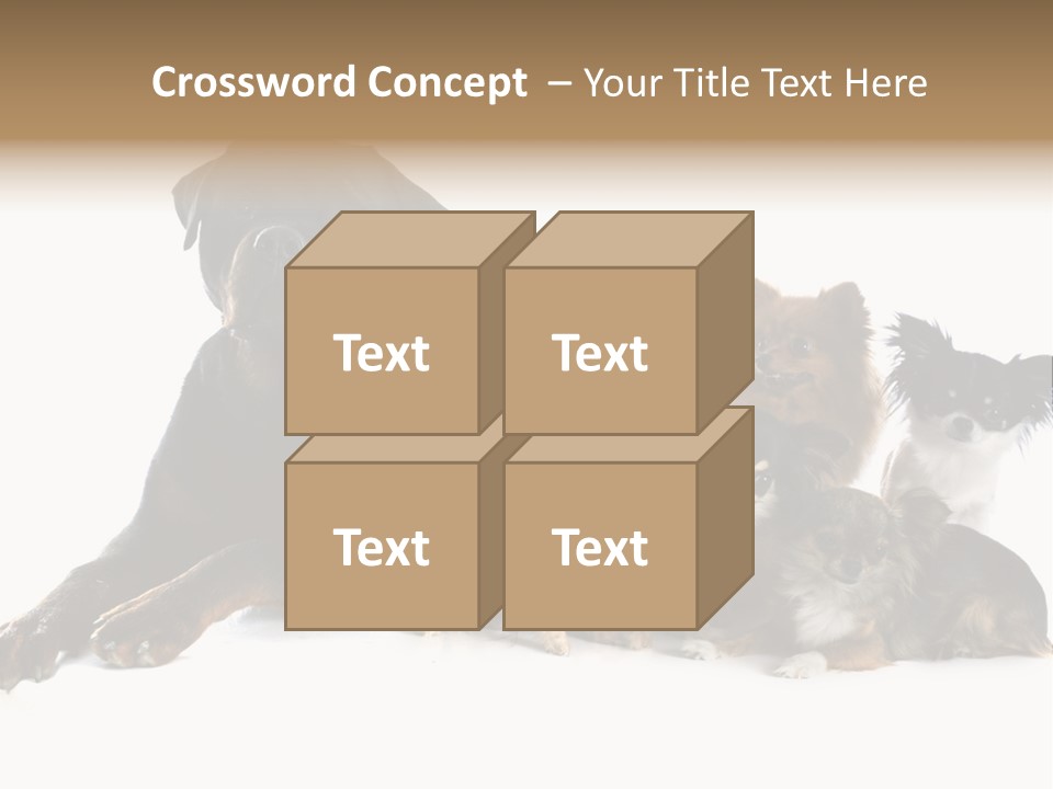 Family Photo Of Dogs PowerPoint Template