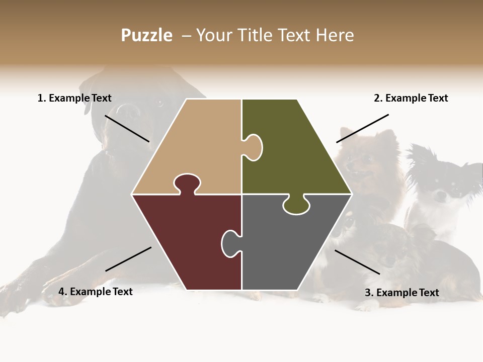 Family Photo Of Dogs PowerPoint Template