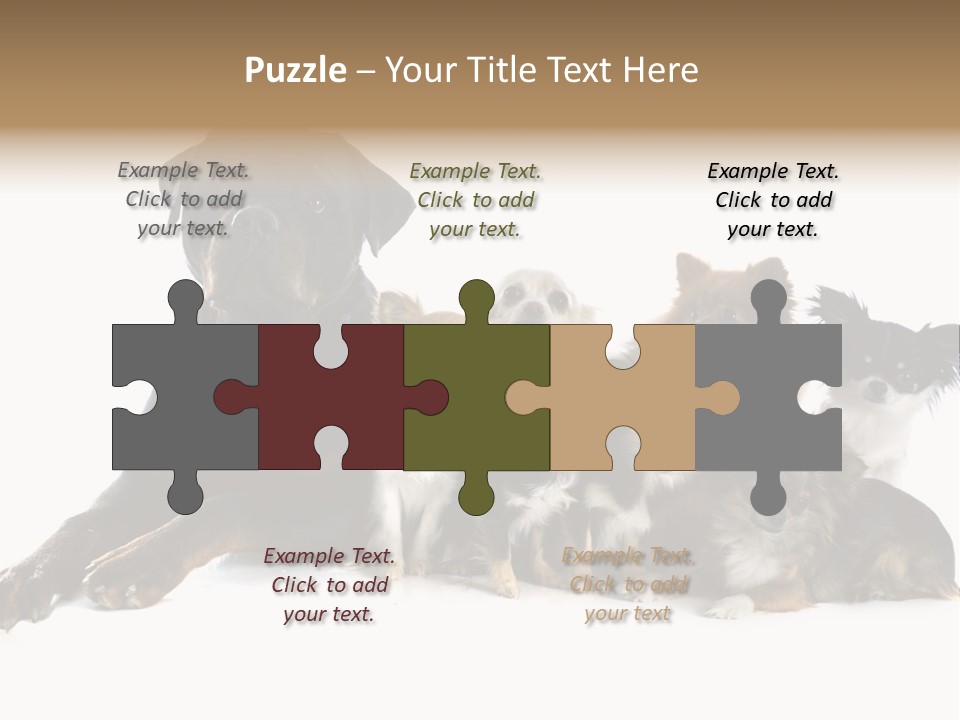 Family Photo Of Dogs PowerPoint Template