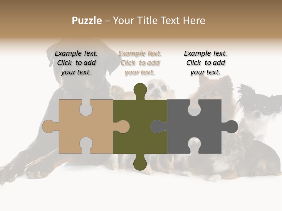 Family Photo Of Dogs PowerPoint Template