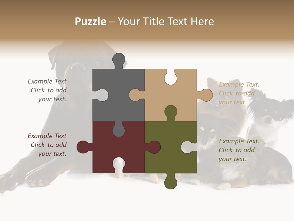 Family Photo Of Dogs PowerPoint Template