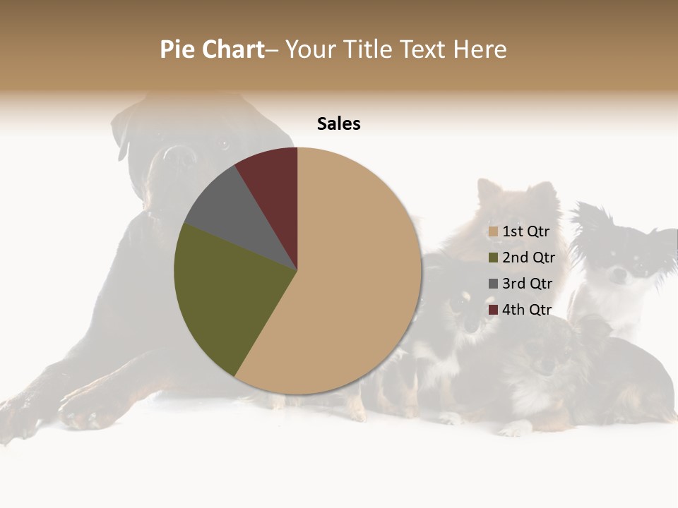 Family Photo Of Dogs PowerPoint Template