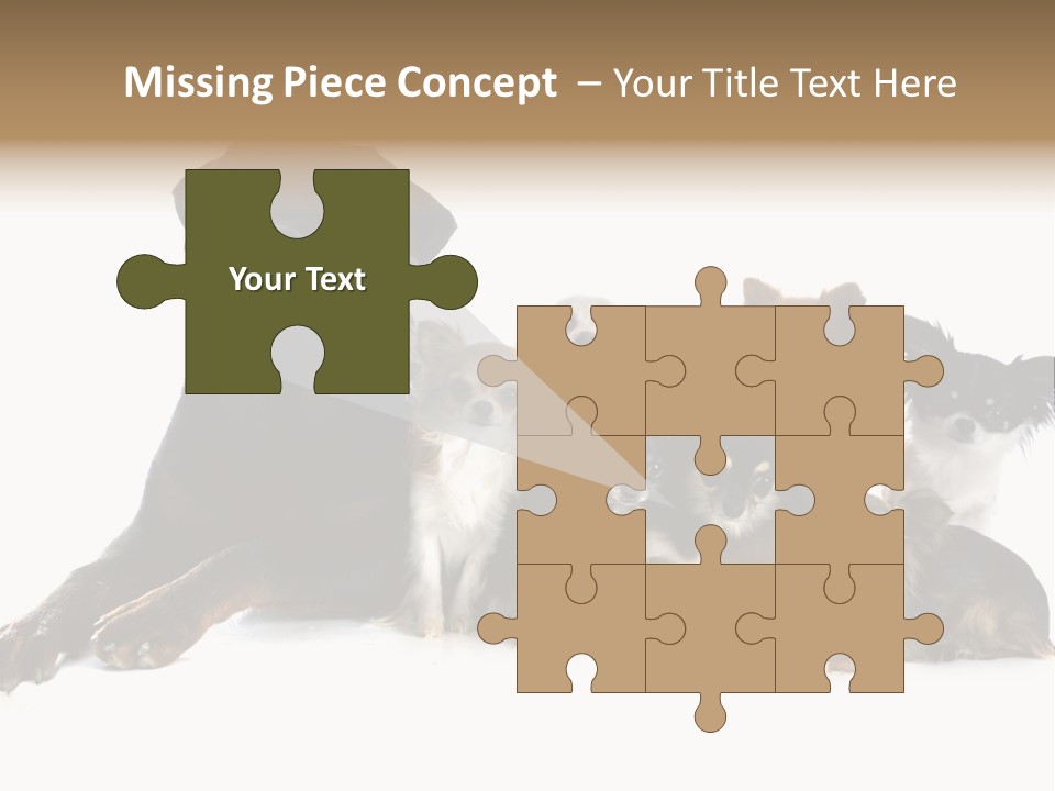 Family Photo Of Dogs PowerPoint Template