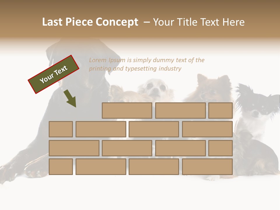 Family Photo Of Dogs PowerPoint Template