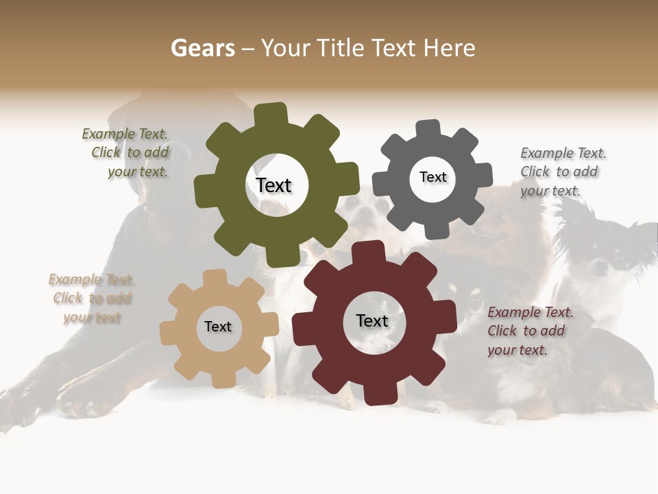 Family Photo Of Dogs PowerPoint Template