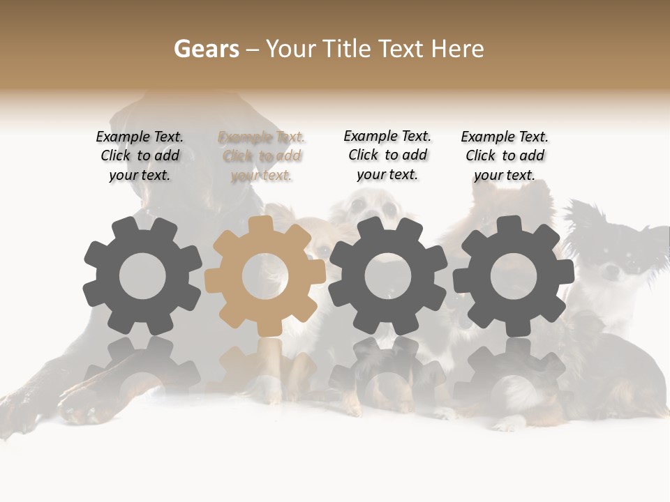 Family Photo Of Dogs PowerPoint Template