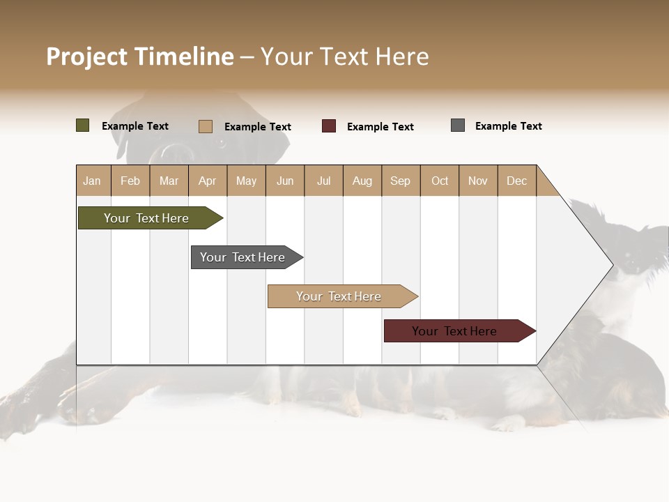 Family Photo Of Dogs PowerPoint Template