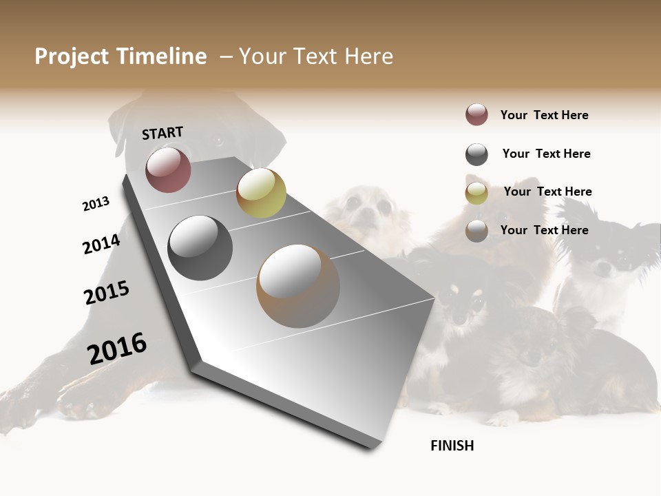 Family Photo Of Dogs PowerPoint Template