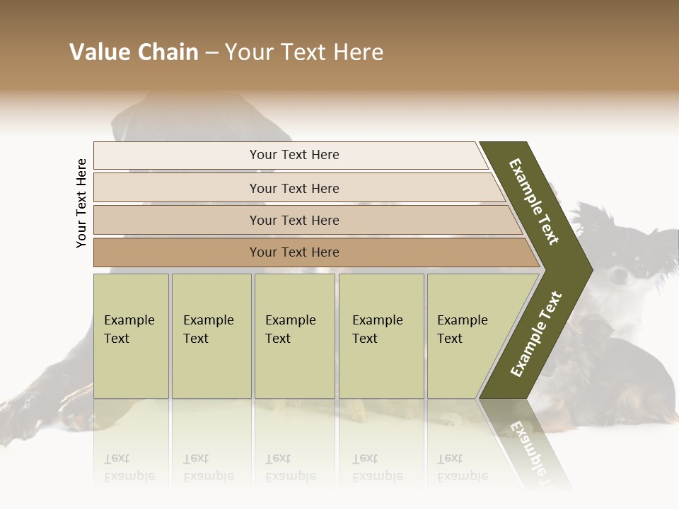 Family Photo Of Dogs PowerPoint Template