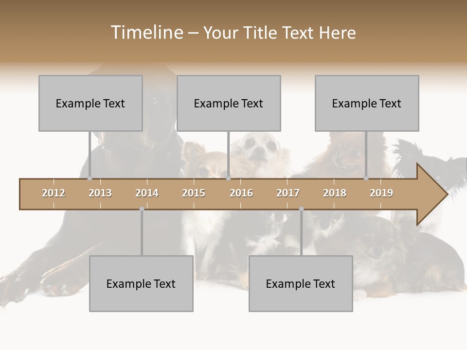 Family Photo Of Dogs PowerPoint Template