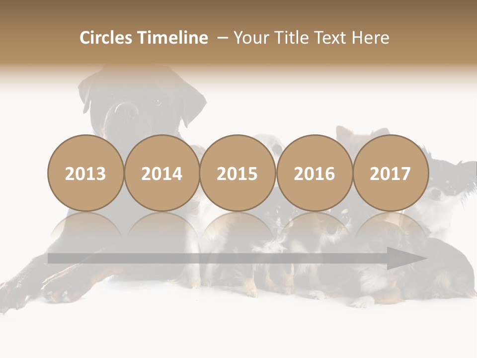 Family Photo Of Dogs PowerPoint Template