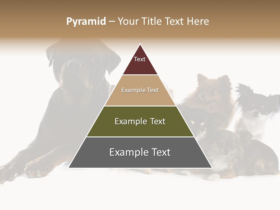 Family Photo Of Dogs PowerPoint Template