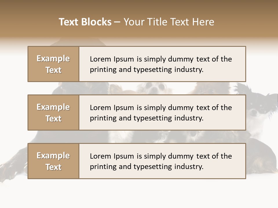 Family Photo Of Dogs PowerPoint Template