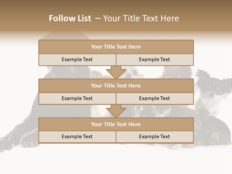 Family Photo Of Dogs PowerPoint Template