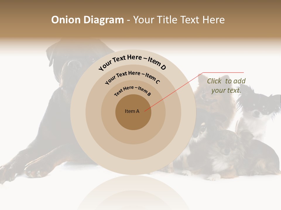 Family Photo Of Dogs PowerPoint Template