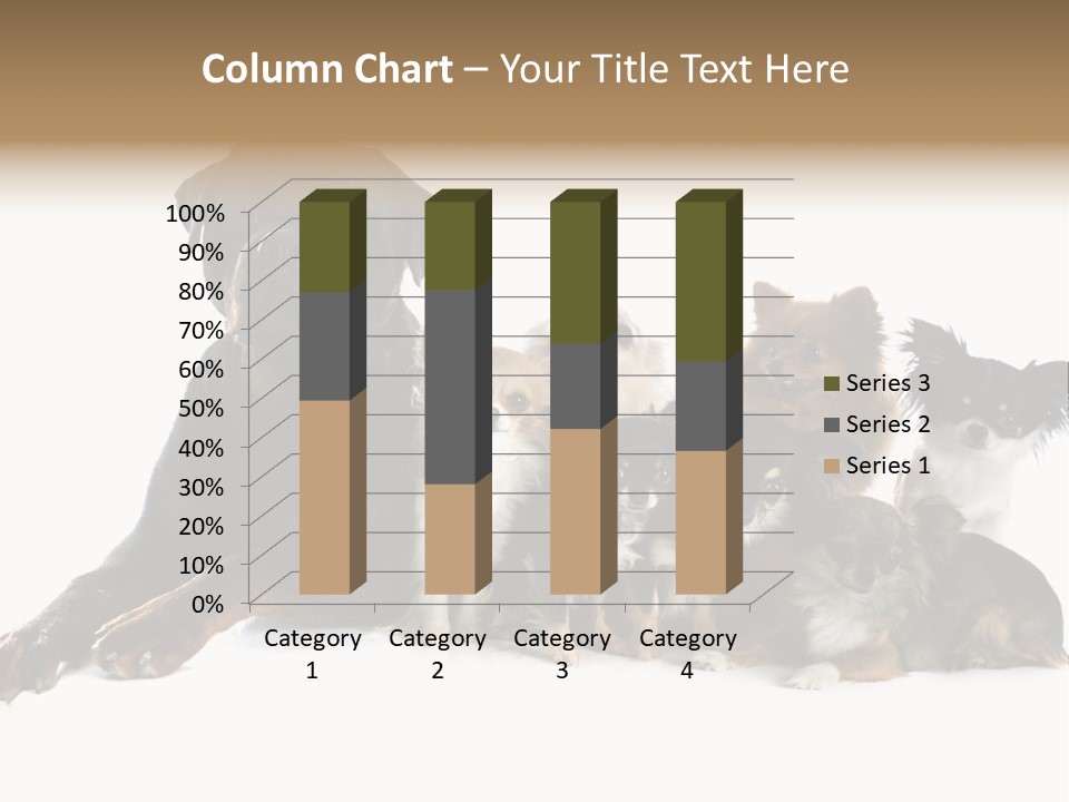 Family Photo Of Dogs PowerPoint Template