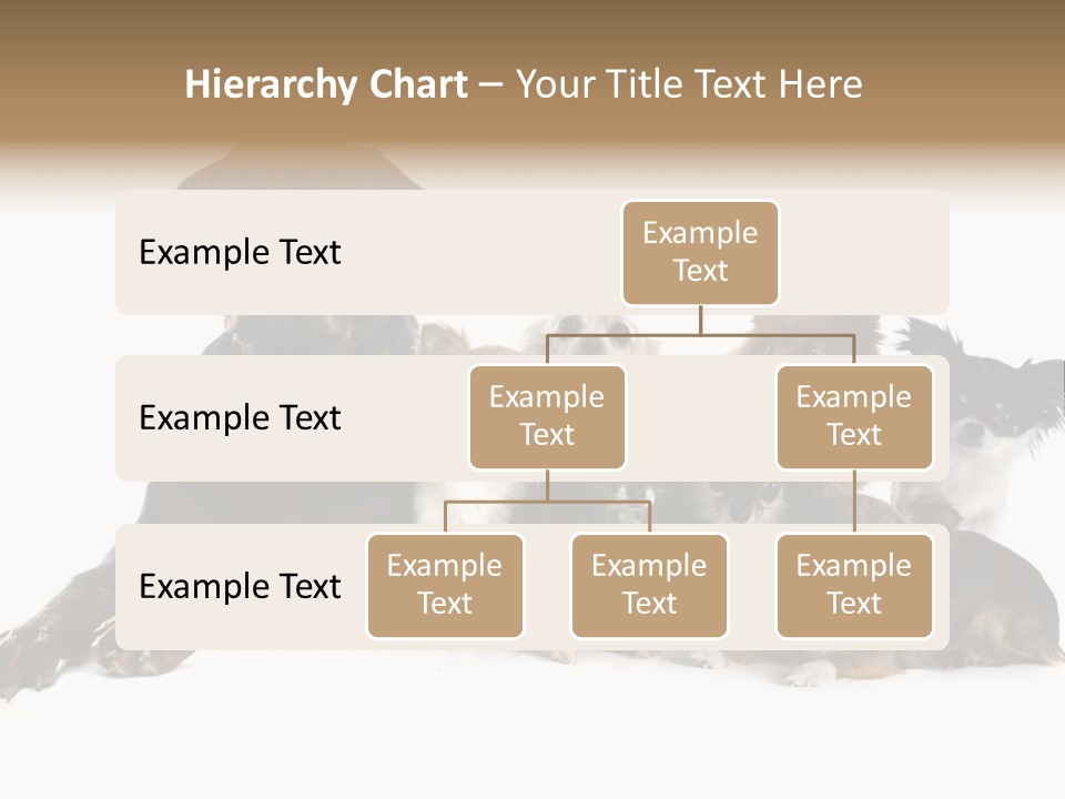 Family Photo Of Dogs PowerPoint Template