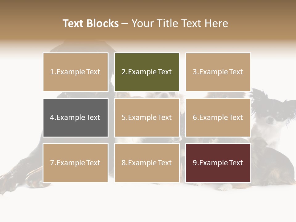 Family Photo Of Dogs PowerPoint Template