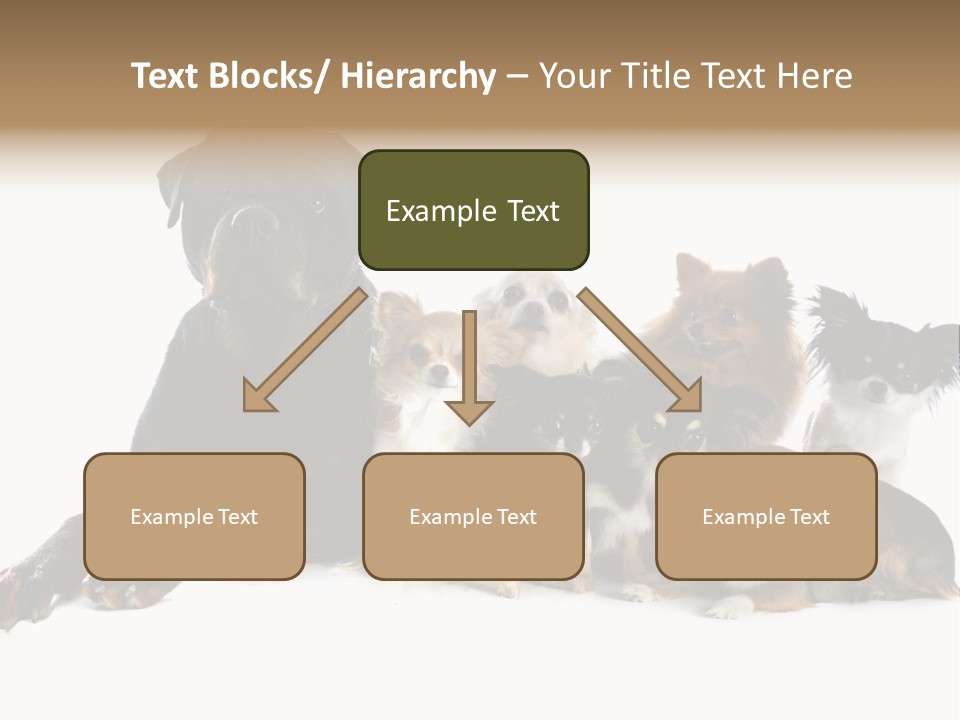 Family Photo Of Dogs PowerPoint Template