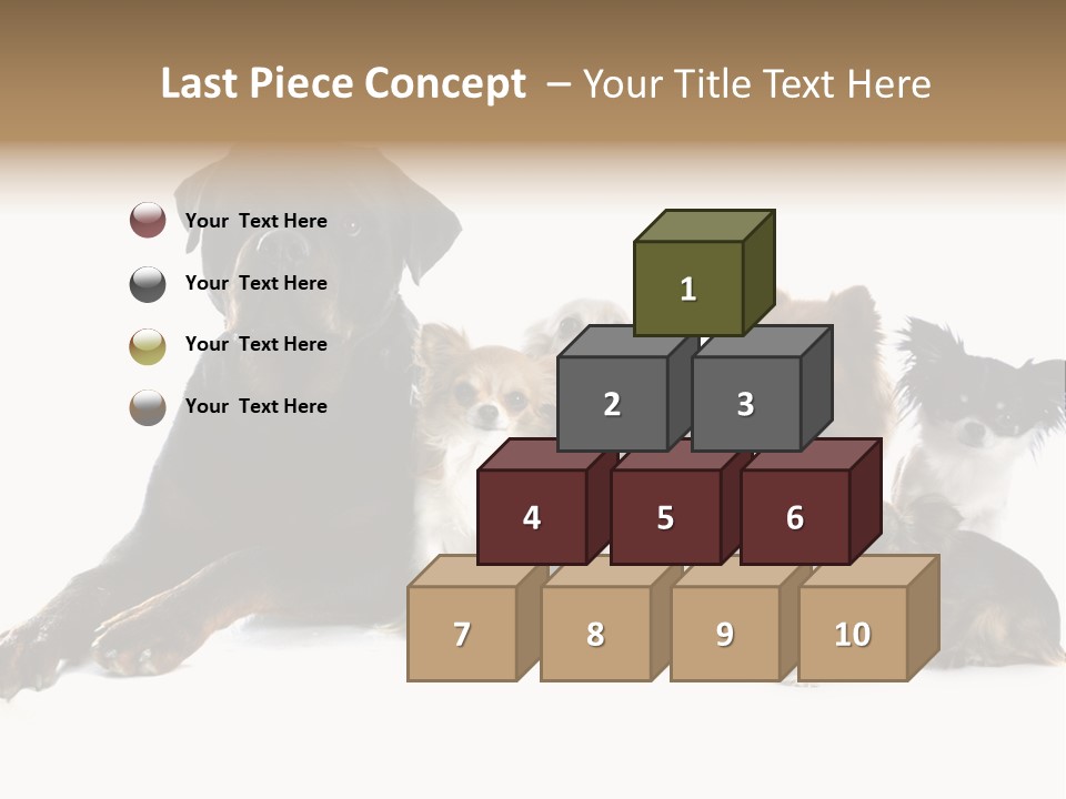 Family Photo Of Dogs PowerPoint Template