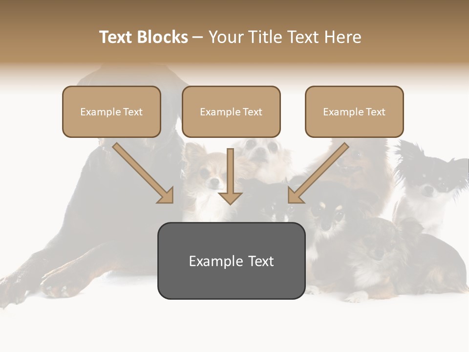 Family Photo Of Dogs PowerPoint Template