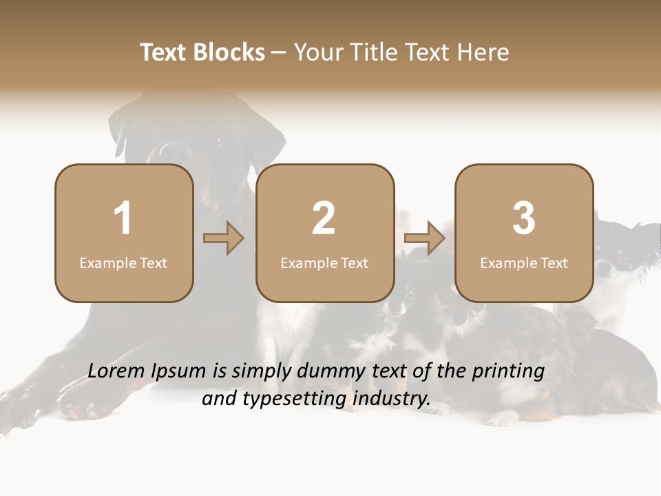 Family Photo Of Dogs PowerPoint Template