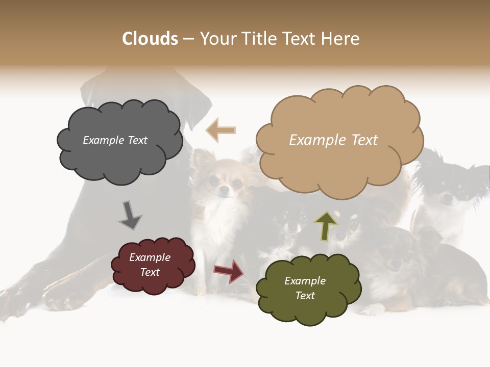 Family Photo Of Dogs PowerPoint Template