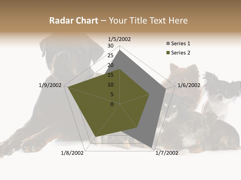 Family Photo Of Dogs PowerPoint Template