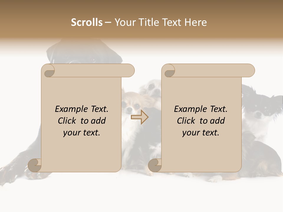 Family Photo Of Dogs PowerPoint Template